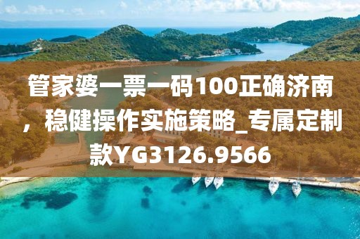 管家婆一票一码100正确济南，稳健操作实施策略_专属定制款YG3126.9566
