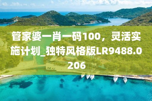 管家婆一肖一码100，灵活实施计划_独特风格版LR9488.0206
