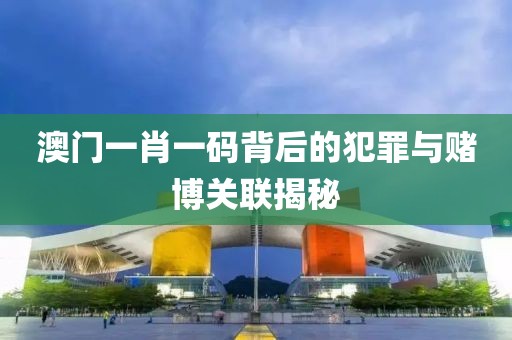 澳门一肖一码背后的犯罪与赌博关联揭秘