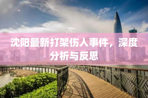 沈阳最新打架伤人事件，深度分析与反思