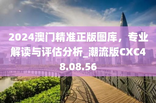2024澳门精准正版图库，专业解读与评估分析_潮流版CXC48.08.56