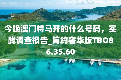 今晚澳门特马开的什么号码，实践调查报告_简约奢华版TBO86.35.60