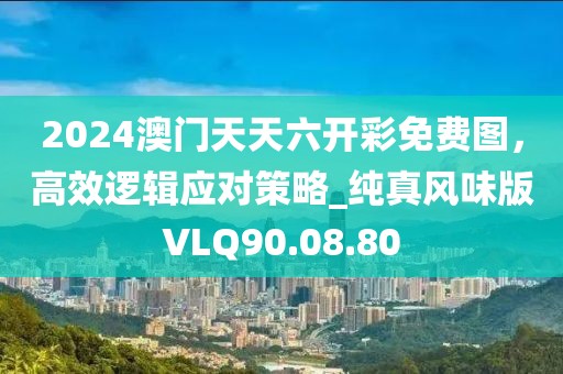 2024澳门天天六开彩免费图，高效逻辑应对策略_纯真风味版VLQ90.08.80