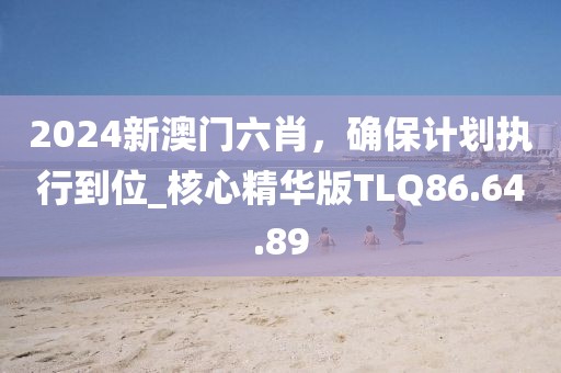 2024新澳门六肖，确保计划执行到位_核心精华版TLQ86.64.89