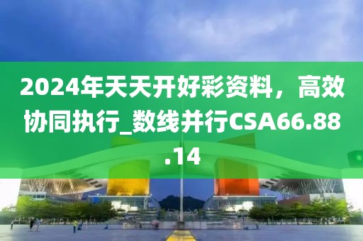 2024年天天开好彩资料，高效协同执行_数线并行CSA66.88.14