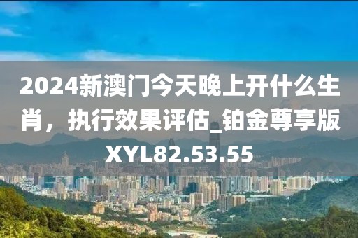 2024新澳门今天晚上开什么生肖，执行效果评估_铂金尊享版XYL82.53.55