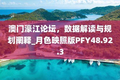 澳门濠江论坛，数据解读与规划阐释_月色映照版PFY48.92.3