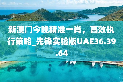 新澳门今晚精准一肖，高效执行策略_先锋实验版UAE36.39.64
