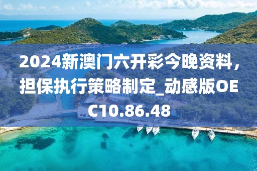 2024新澳门六开彩今晚资料，担保执行策略制定_动感版OEC10.86.48