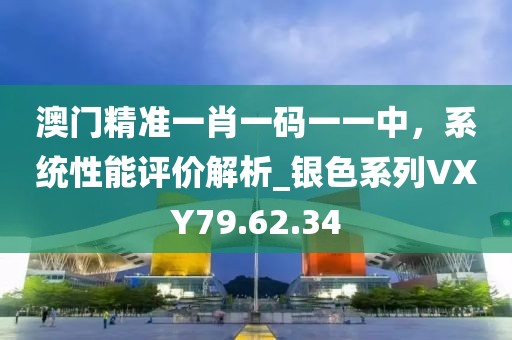 澳门精准一肖一码一一中，系统性能评价解析_银色系列VXY79.62.34