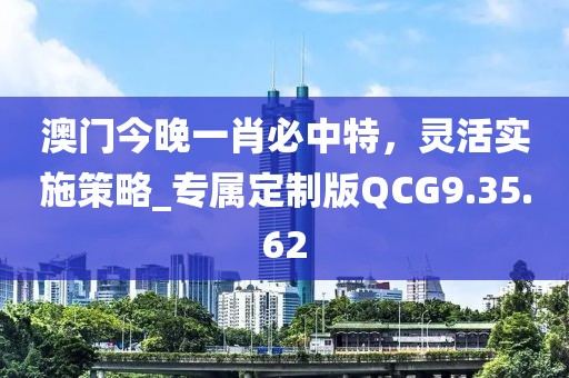 澳门今晚一肖必中特，灵活实施策略_专属定制版QCG9.35.62