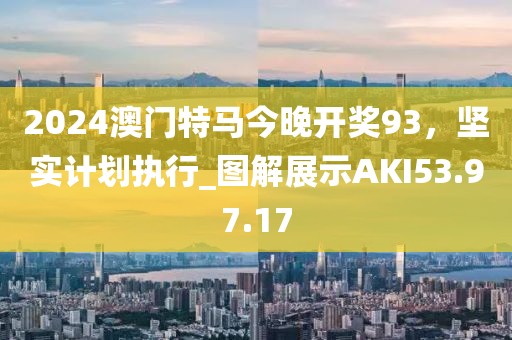 2024澳门特马今晚开奖93，坚实计划执行_图解展示AKI53.97.17