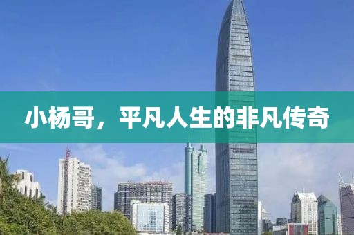 小杨哥，平凡人生的非凡传奇