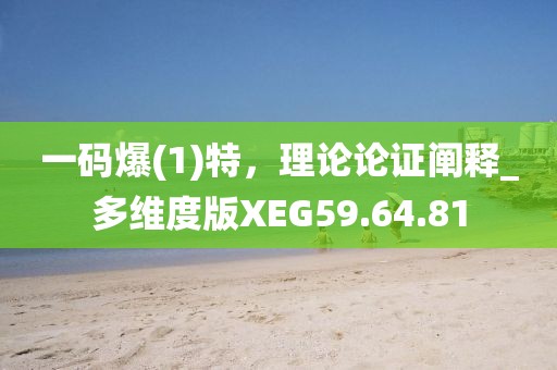 一码爆(1)特，理论论证阐释_多维度版XEG59.64.81