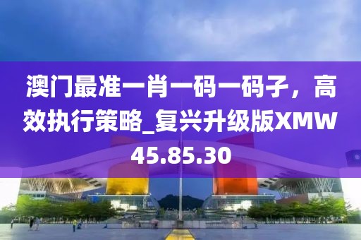 澳门最准一肖一码一码孑，高效执行策略_复兴升级版XMW45.85.30