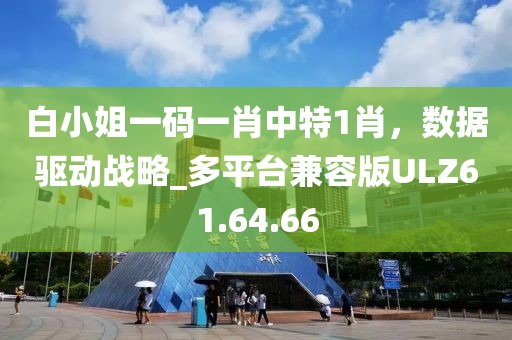 白小姐一码一肖中特1肖，数据驱动战略_多平台兼容版ULZ61.64.66