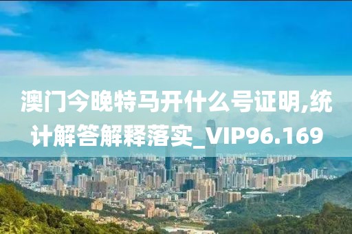 澳门今晚特马开什么号证明,统计解答解释落实_VIP96.169