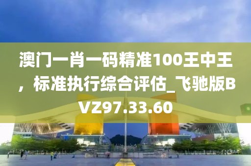 澳门一肖一码精准100王中王，标准执行综合评估_飞驰版BVZ97.33.60