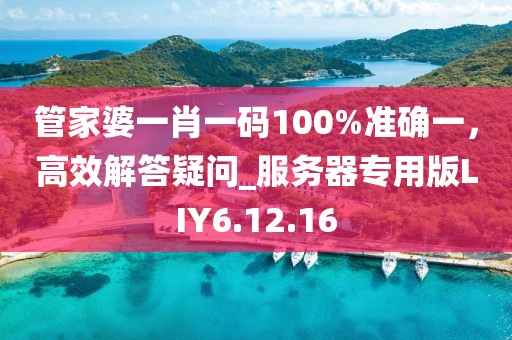 管家婆一肖一码100%准确一，高效解答疑问_服务器专用版LIY6.12.16