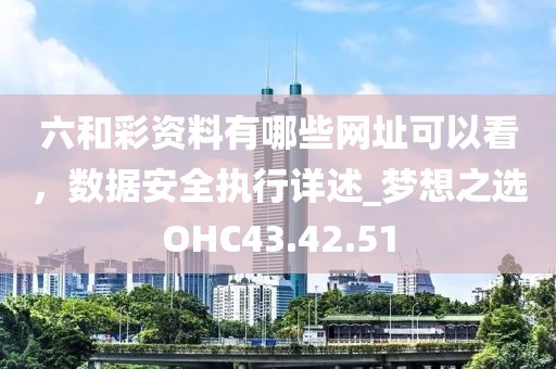 六和彩资料有哪些网址可以看，数据安全执行详述_梦想之选OHC43.42.51