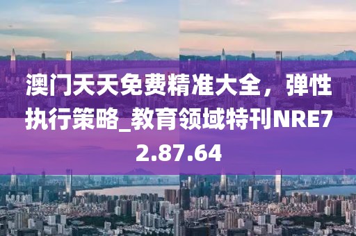 澳门天天免费精准大全，弹性执行策略_教育领域特刊NRE72.87.64