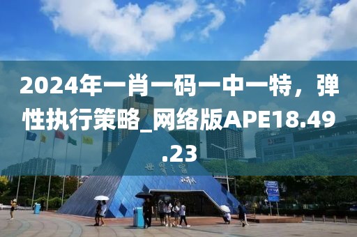 2024年一肖一码一中一特，弹性执行策略_网络版APE18.49.23