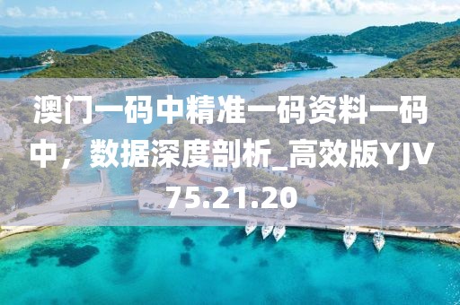 澳门一码中精准一码资料一码中，数据深度剖析_高效版YJV75.21.20