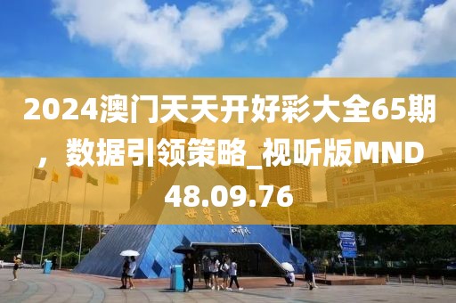 2024澳门天天开好彩大全65期，数据引领策略_视听版MND48.09.76
