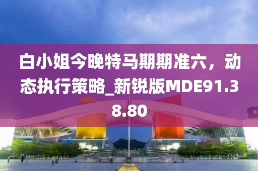 白小姐今晚特马期期准六，动态执行策略_新锐版MDE91.38.80