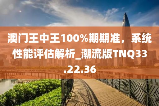 澳门王中王100%期期准，系统性能评估解析_潮流版TNQ33.22.36