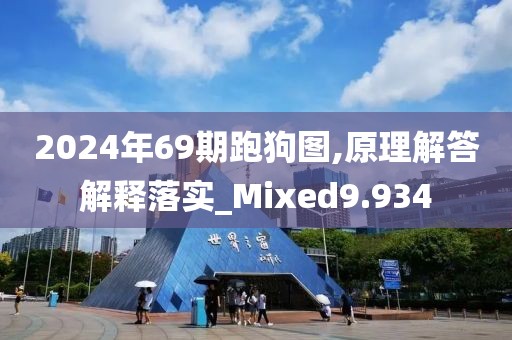 2024年69期跑狗图,原理解答解释落实_Mixed9.934