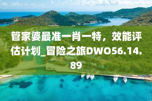 管家婆最准一肖一特，效能评估计划_冒险之旅DWO56.14.89
