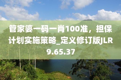 管家婆一码一肖100准，担保计划实施策略_定义修订版JLR9.65.37