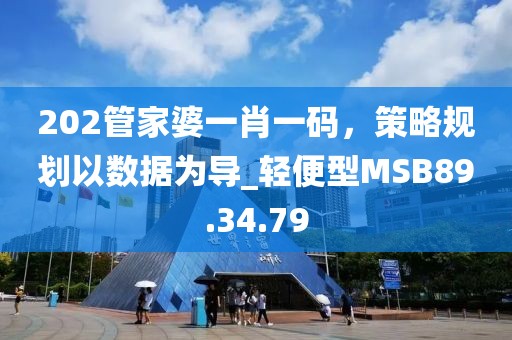 202管家婆一肖一码，策略规划以数据为导_轻便型MSB89.34.79