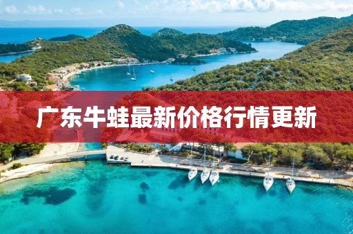 广东牛蛙最新价格行情更新