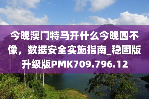 今晚澳门特马开什么今晚四不像，数据安全实施指南_稳固版升级版PMK709.796.12