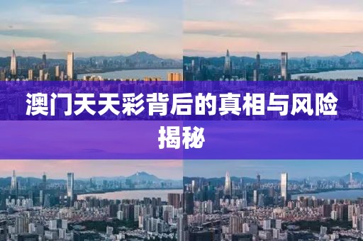 澳门天天彩背后的真相与风险揭秘