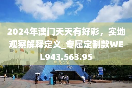 2024年澳门天天有好彩，实地观察解释定义_专属定制款WEL943.563.95