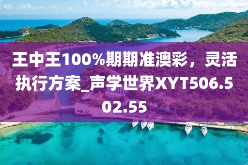 王中王100%期期准澳彩，灵活执行方案_声学世界XYT506.502.55