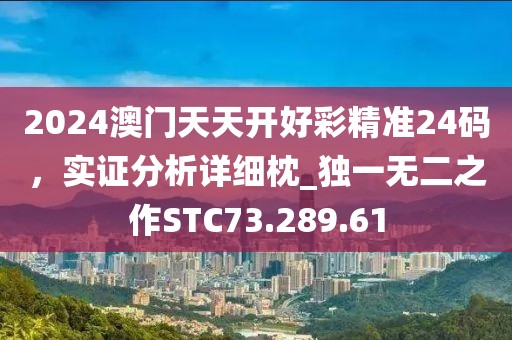 2024澳门天天开好彩精准24码，实证分析详细枕_独一无二之作STC73.289.61