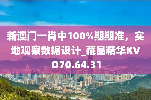 新澳门一肖中100%期期准，实地观察数据设计_藏品精华KVO70.64.31