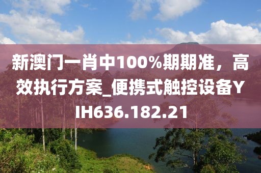 新澳门一肖中100%期期准，高效执行方案_便携式触控设备YIH636.182.21
