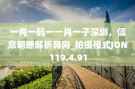 一肖一码一一肖一子深圳，信息明晰解析导向_拍摄模式JON119.4.91