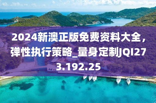 2024新澳正版免费资料大全，弹性执行策略_量身定制JQI273.192.25