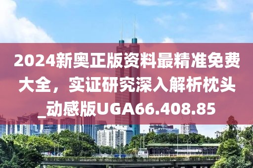 2024新奥正版资料最精准免费大全，实证研究深入解析枕头_动感版UGA66.408.85