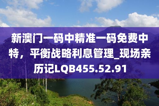 新澳门一码中精准一码免费中特，平衡战略利息管理_现场亲历记LQB455.52.91