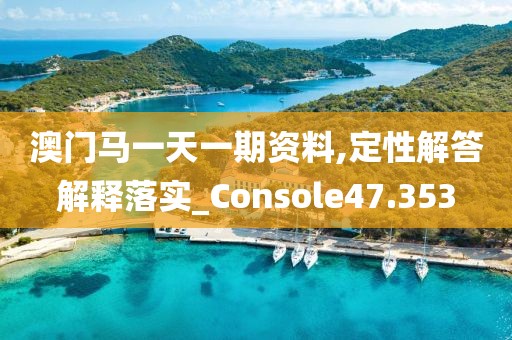 澳门马一天一期资料,定性解答解释落实_Console47.353