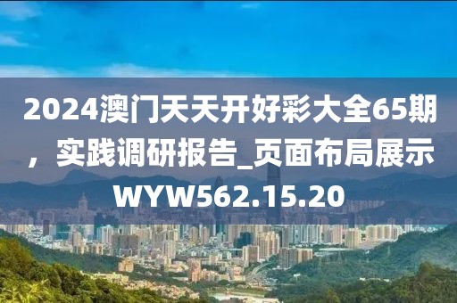 2024澳门天天开好彩大全65期，实践调研报告_页面布局展示WYW562.15.20