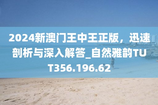 2024新澳门王中王正版，迅速剖析与深入解答_自然雅韵TUT356.196.62