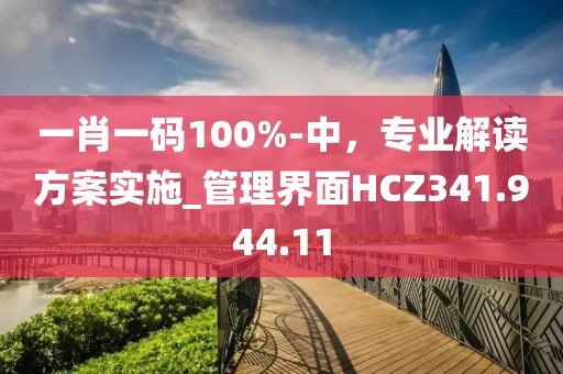 一肖一码100%-中，专业解读方案实施_管理界面HCZ341.944.11